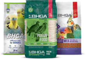 BHGA-Group