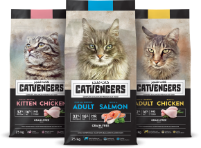 Catvengers-Group