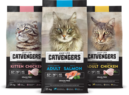 Catvengers-Group